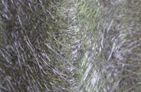 Torrisdale fibreglass roof work